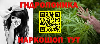 гидра Гусев