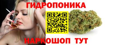 трава Гусь-Хрустальный